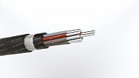 Кабель АКПВГ 10х4